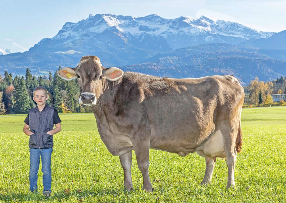 100`000kg Milch Brookings Burgi, Toni Muff Neuenkirch 