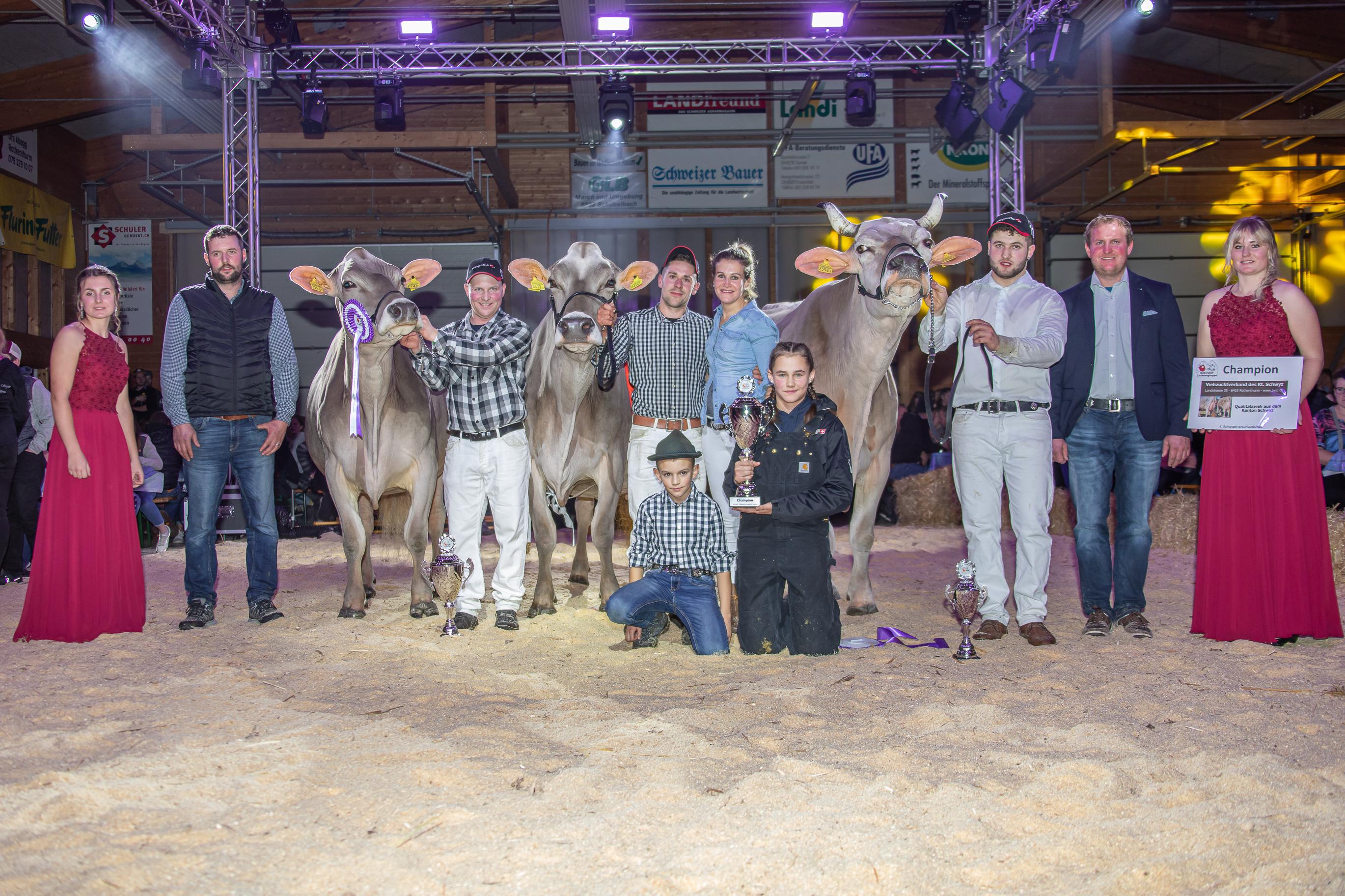 Schwyzer Braunviehschau Markthalle Rothenthurm 