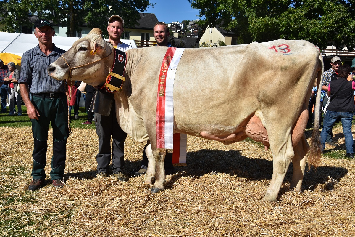 1 Miss Küssnacht BS