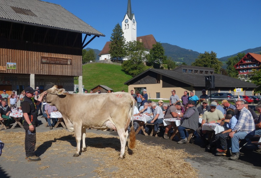 30. Obwaldner Viehauktion vom 03. September 2021  BWZ Giswil