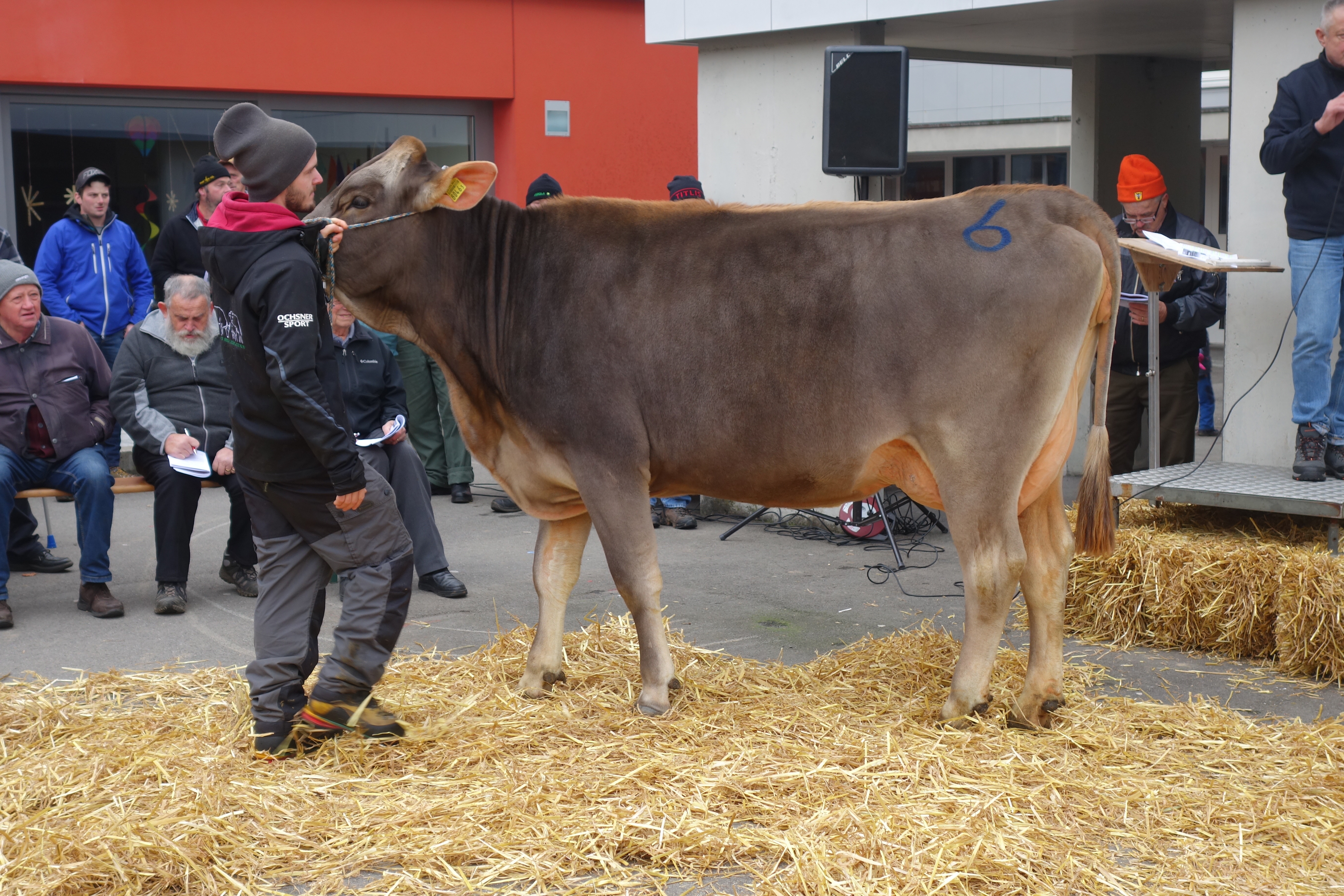 Katalog Auktion Morschach 