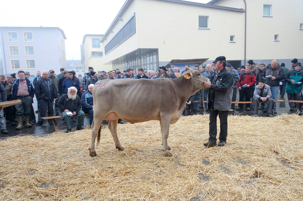 Katalog Auktion Morschach