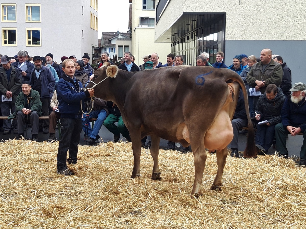 Katalog Auktion Chärnser Märt 01.12.2021