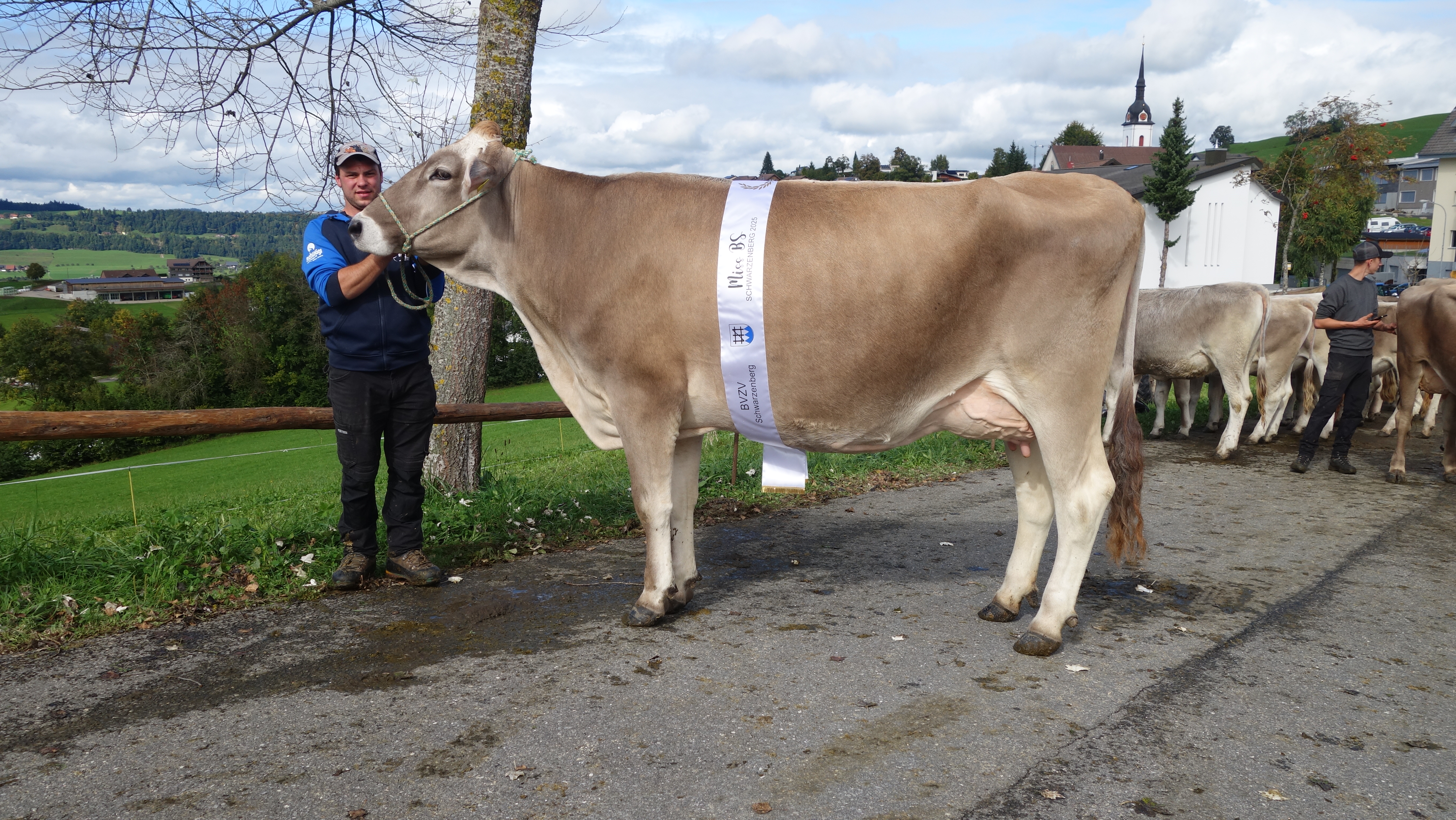 Viehschau Schwarzenberg 2025