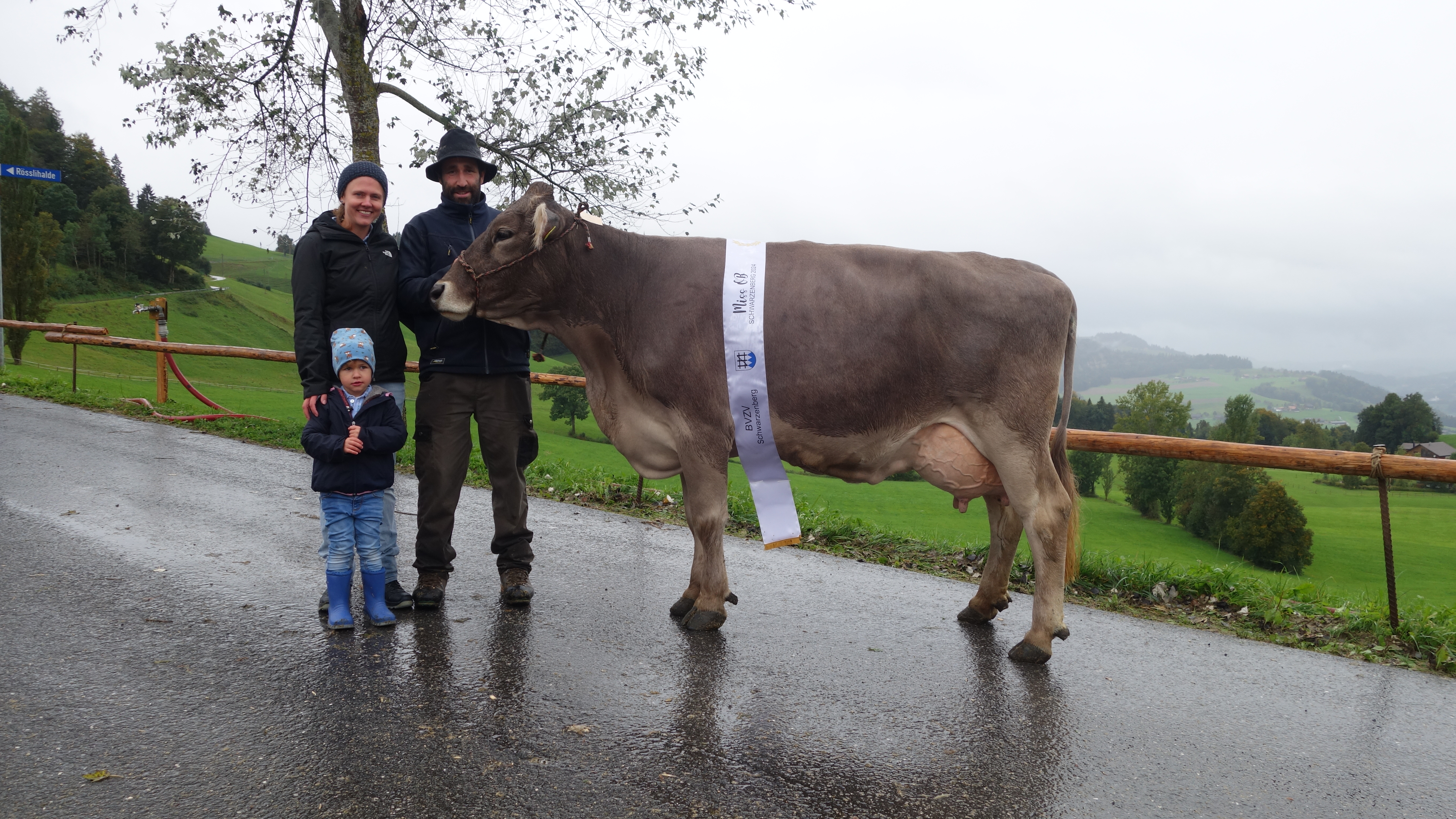 Viehschau Schwarzenberg 2024