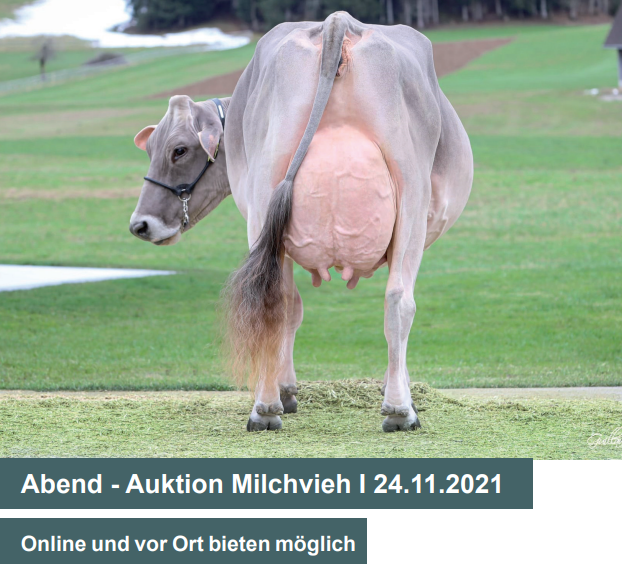 Katalog Auktion Chommle Gunzwil 24.11.2021