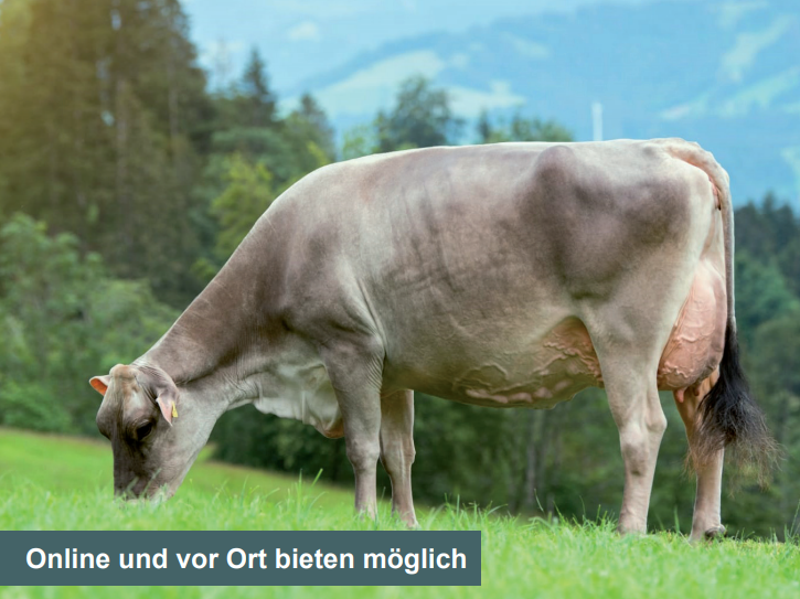 Katalog Auktion Chommle Gunzwil 25.08.2021