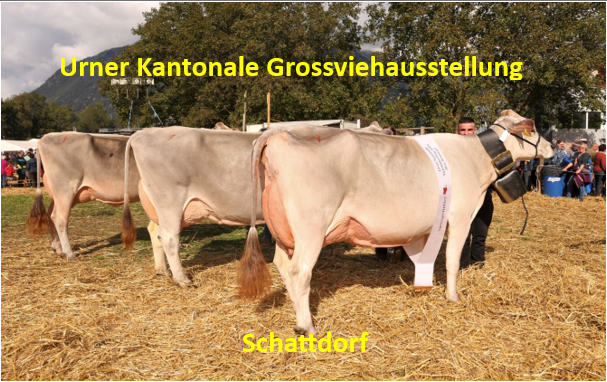 Urner Kantonalschau 2025