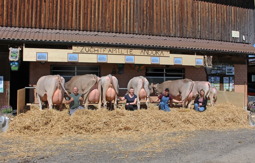Zuchtfamilien Luzern 2024
