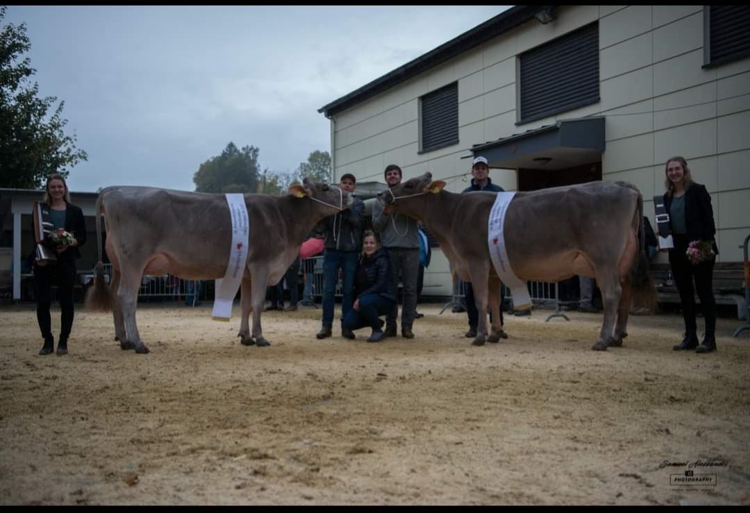 Eliteschau Amt Entlebuch 2023
