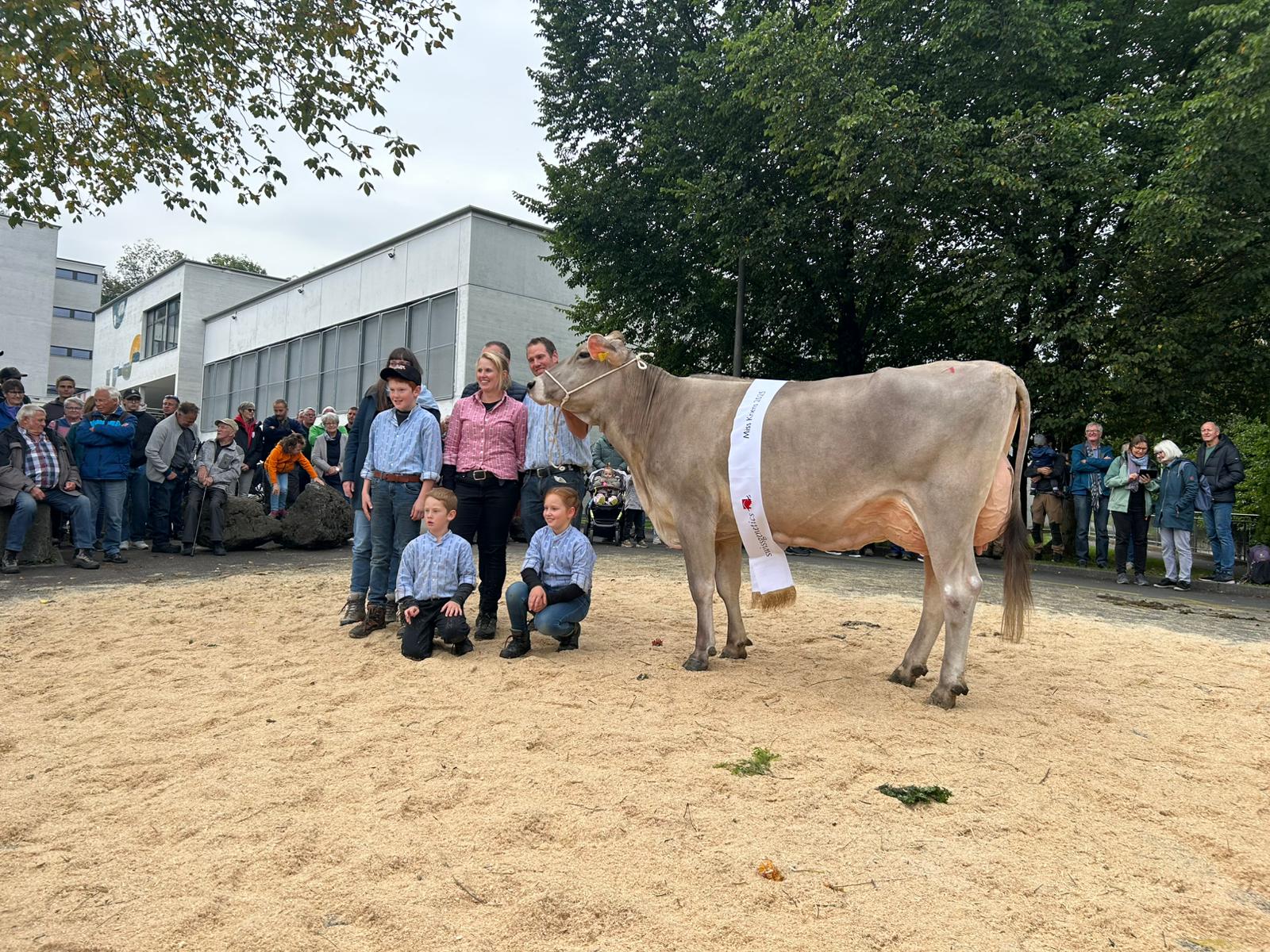 Braunviehschau Kriens 2025