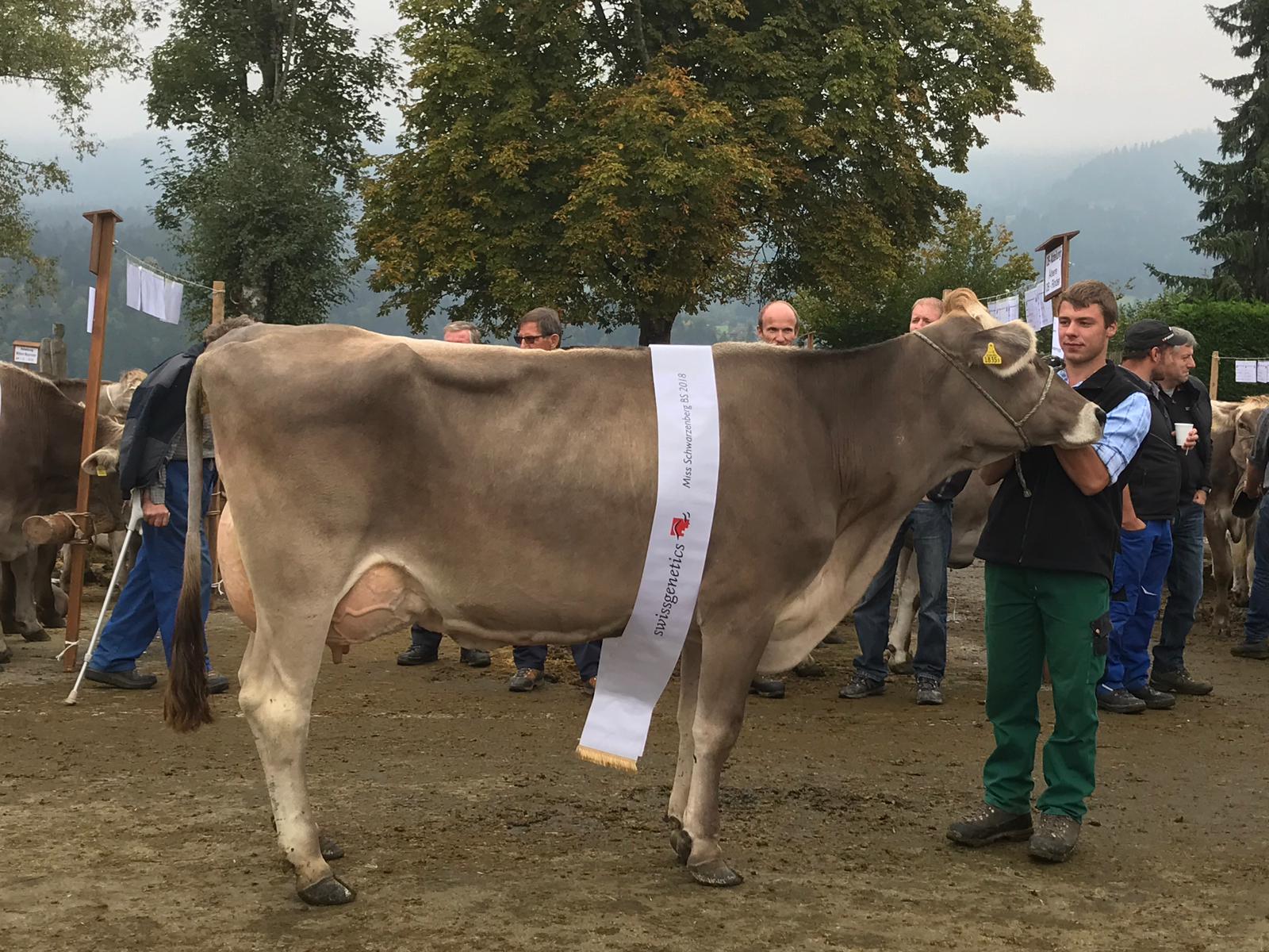 11Miss Schwarzenebrg 2018