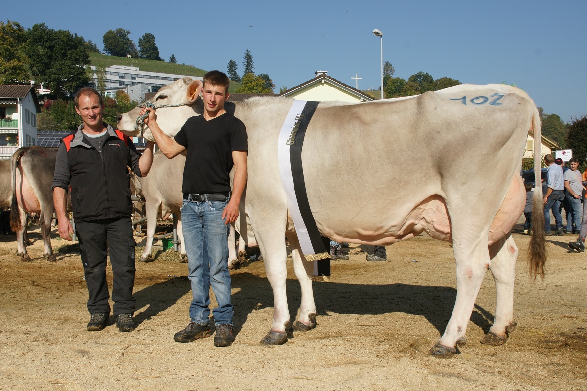 Champion BV. Willisau