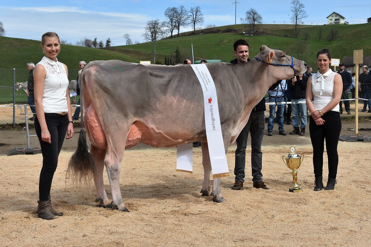 Jongleur Silvana Champion klein