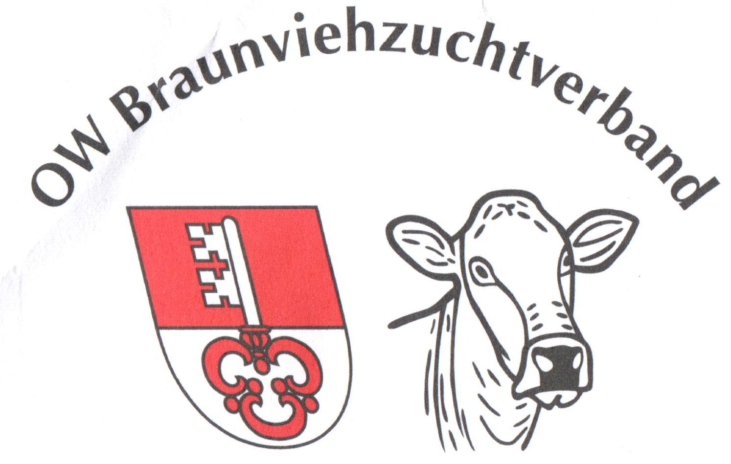 OWLogo 001