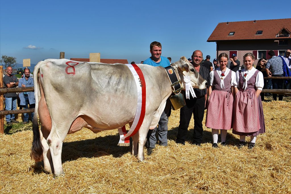 k 11Miss Höfe