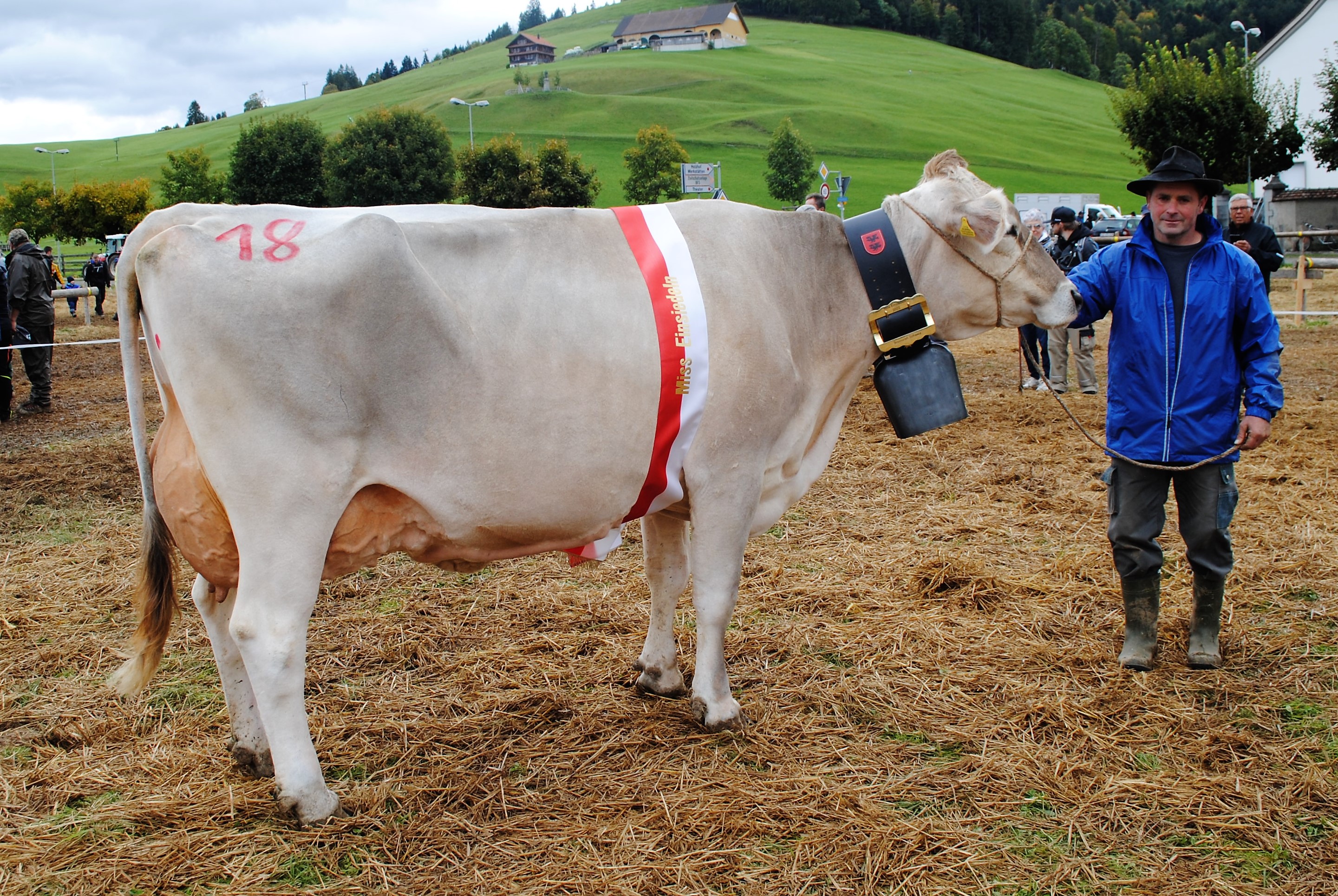Bezirksviehschau Einsiedeln 27.09.2022