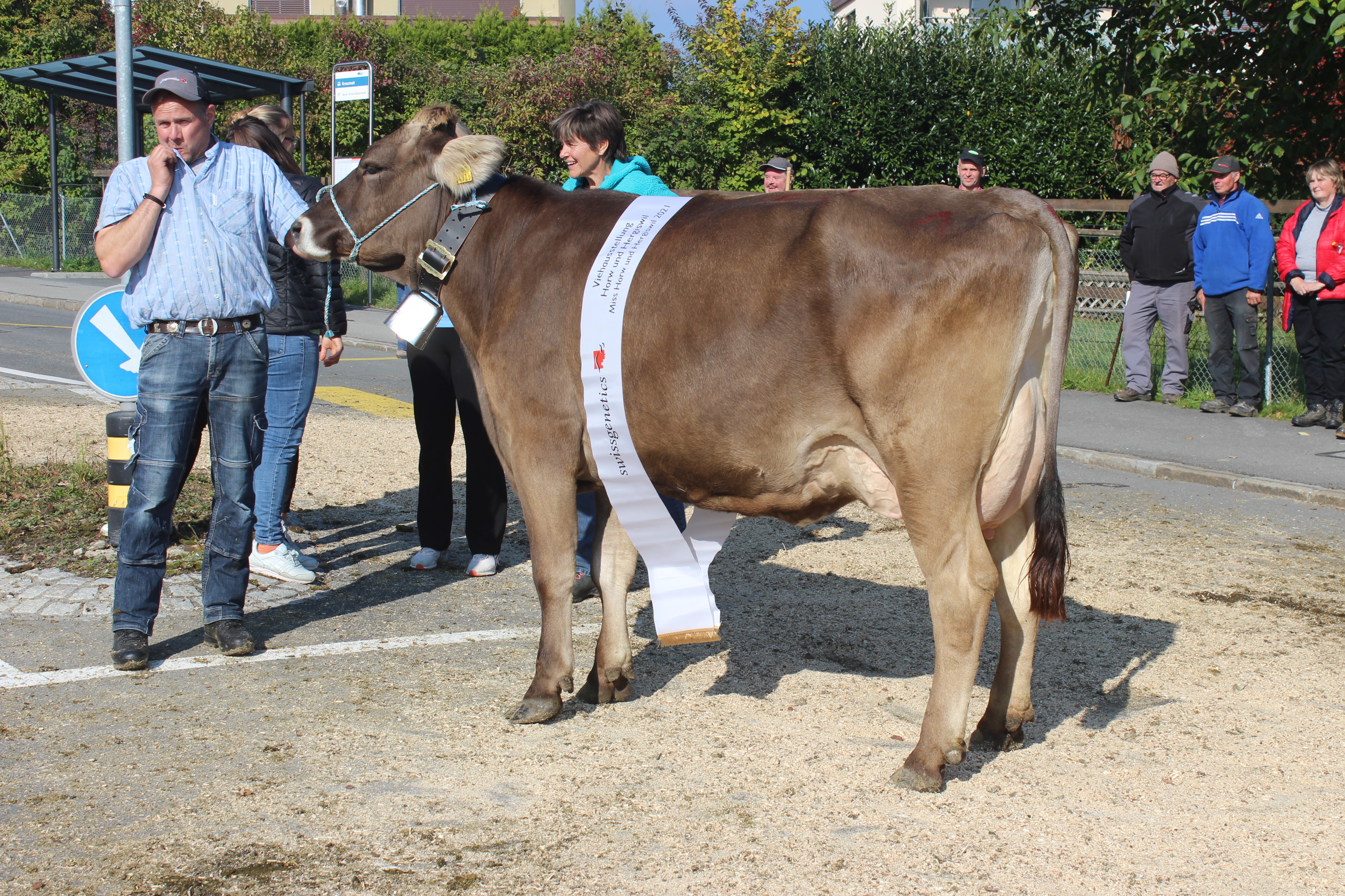 Viehschau Horw Hergiswil 2021