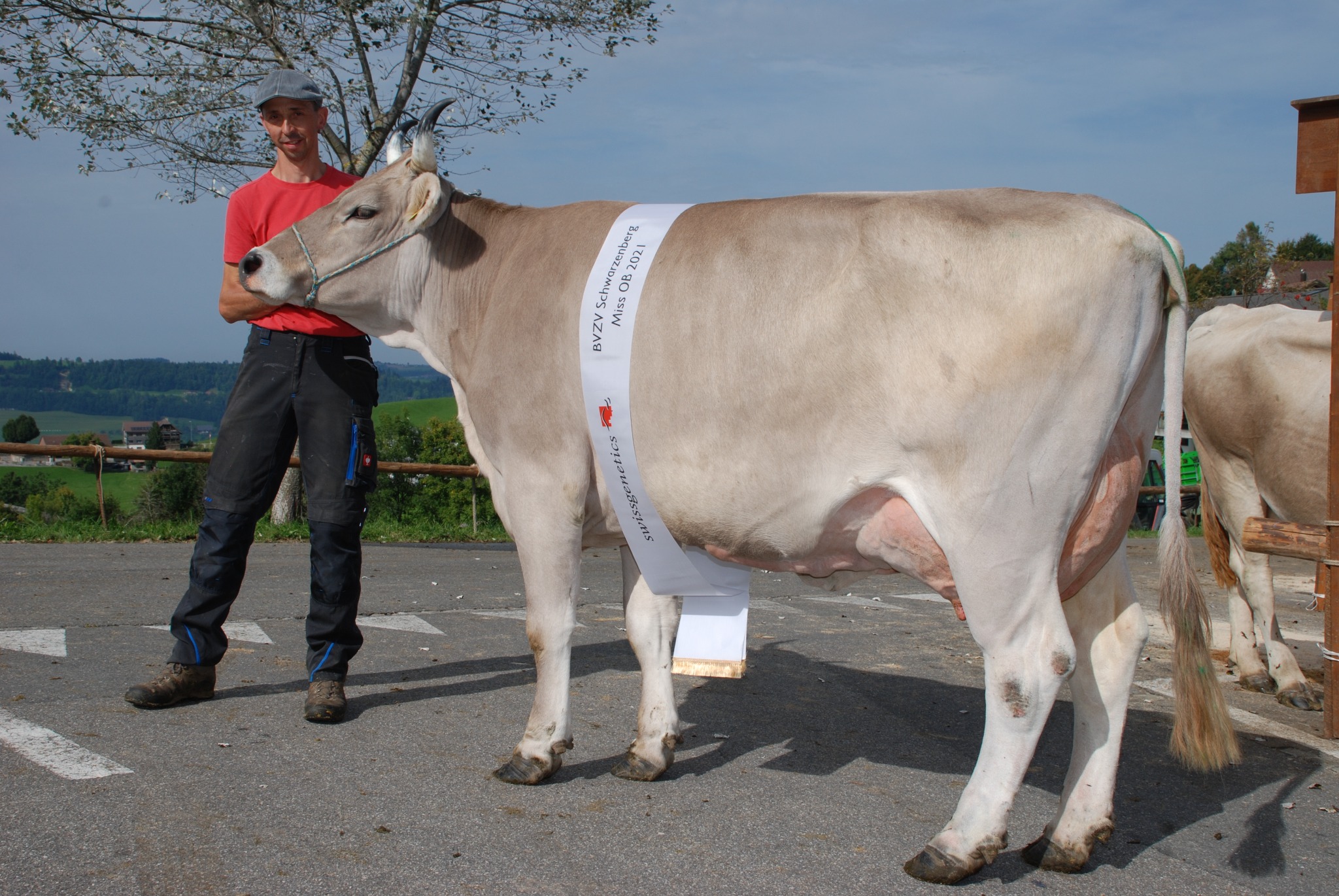 Viehausstellung Schwarzenberg 25.09.2021