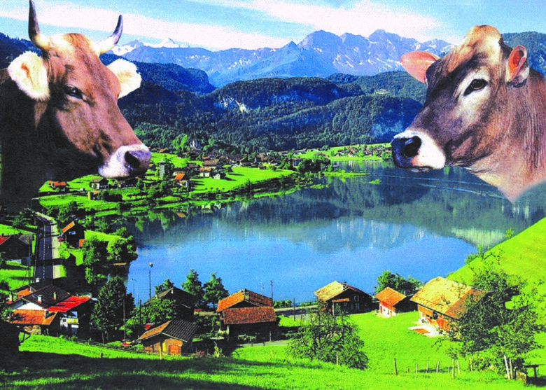 Titelbild Lungern