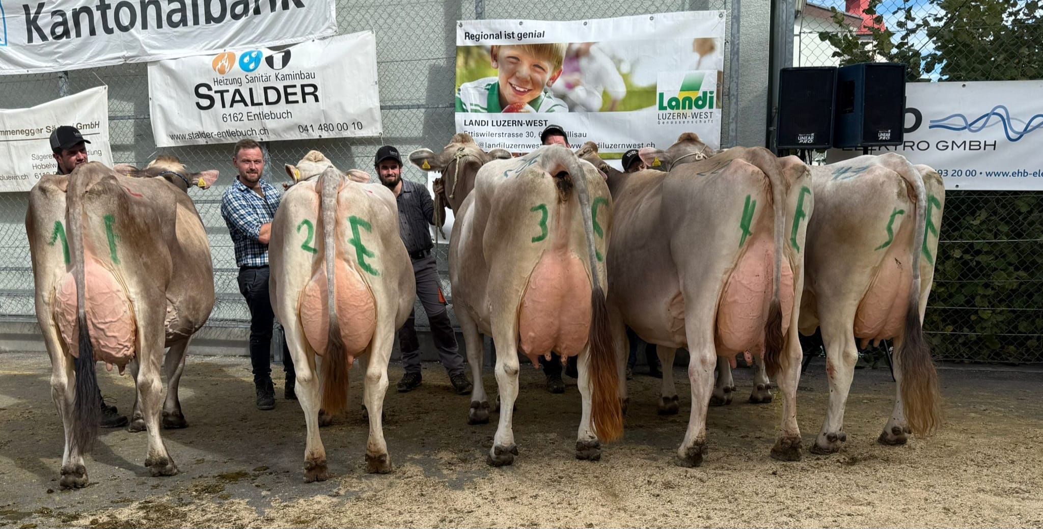 Viehschau Romoos 2025