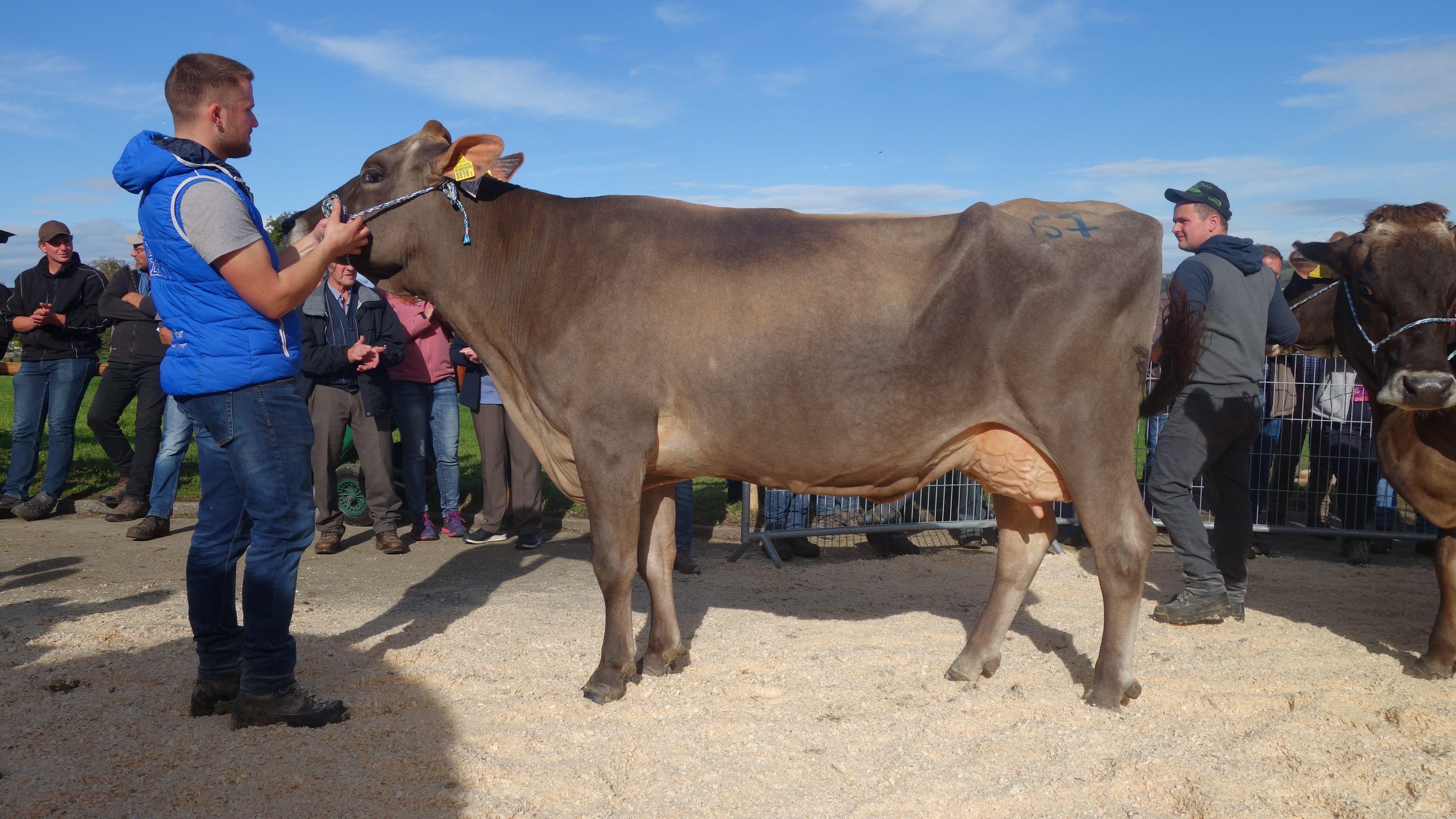 Jubiläumsviehschau Nottwil 2023