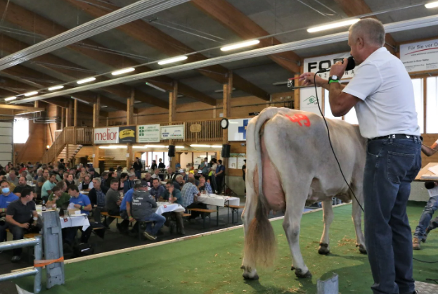 Nutz- & Zuchtviehauktion Rothenthurm 22.03.25