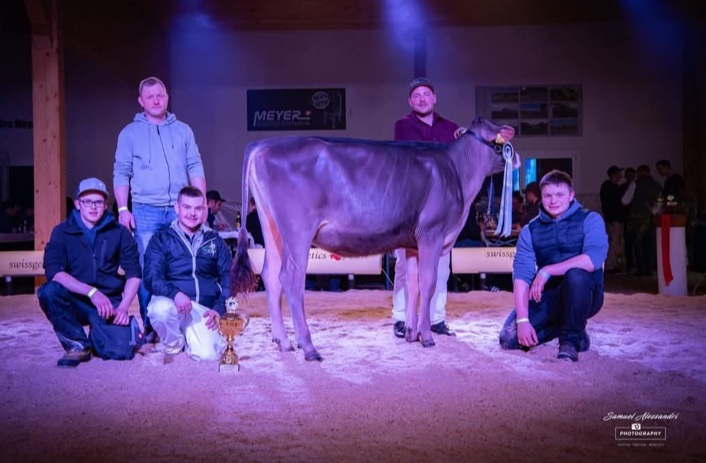 Luzerner Rindernightshow 2025