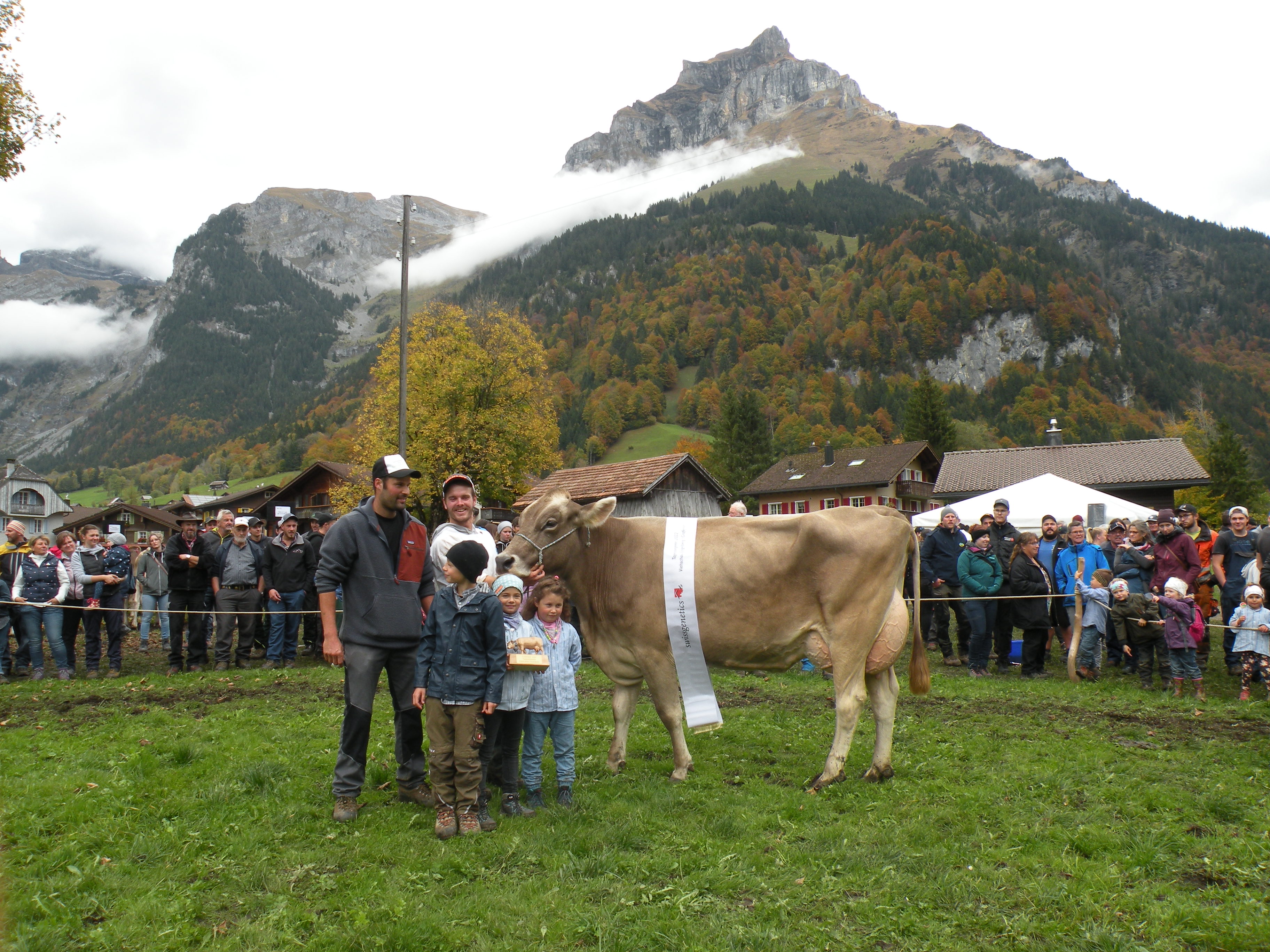 Viehschau Engelberg 2021