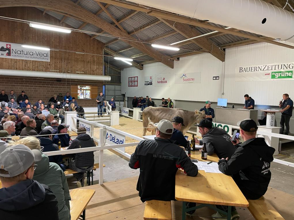 Anmeldung Auktion Milchvieh Chommle Gunzwil