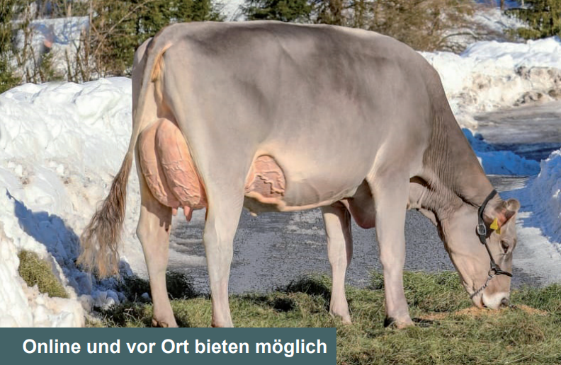 Katalog Auktion Chommle 22. März