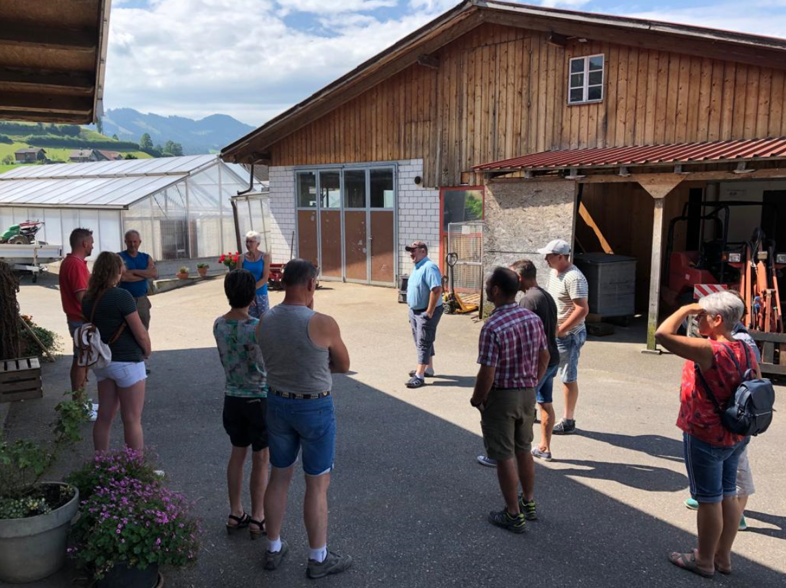 Braunvieh Luzern unterwegs