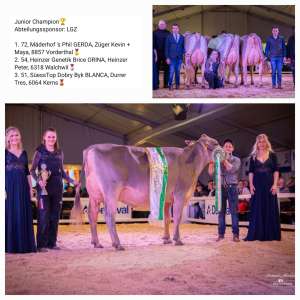 junior champion