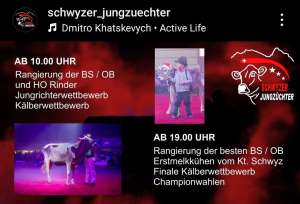 screenshot 20241213 instagram