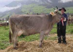 schoeneuter ob alt   trisa von schuler pauli  schwyz 