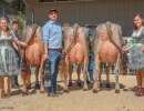 champion bs amt entlebuch.l 
