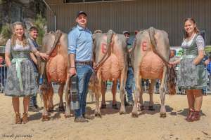 champion bs amt entlebuch.l 
