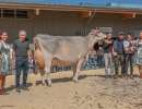 champion bs bvzg bender beilal florian dahinden ebnet