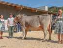 champion ob bvzg untermosigen arcas jaciral niklaus felder haas entlebuch