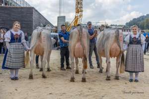 se bs.lakt podest aiven pandora owen organza aiven beresina