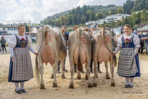 se bs 2..lakt podest huge helvetia o malley onita babo baronin