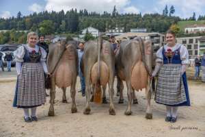 se bs. ff.lakt podest salomon santana biver bernina biver noemi