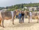 17.regioschau willisau champion bs   rinderchampion schwegler bs