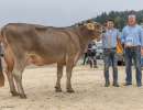 17.regioschau willisau miss genetik ob