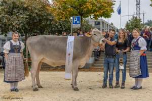 17.regioschau willisau 26 rinderchampion bs ob