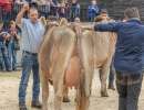 17.regioschau willisau 26 schoeneuter ob