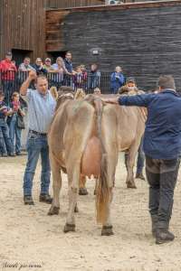 17.regioschau willisau 26 schoeneuter ob