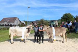 whatsapp image23 10 08 at.55.12