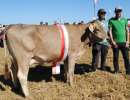 einsiedeln miss ob joel jacinta bernhard gisler einsiedeln
