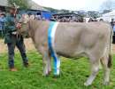 miss schoeneuter ob wito wilma karl annen arth